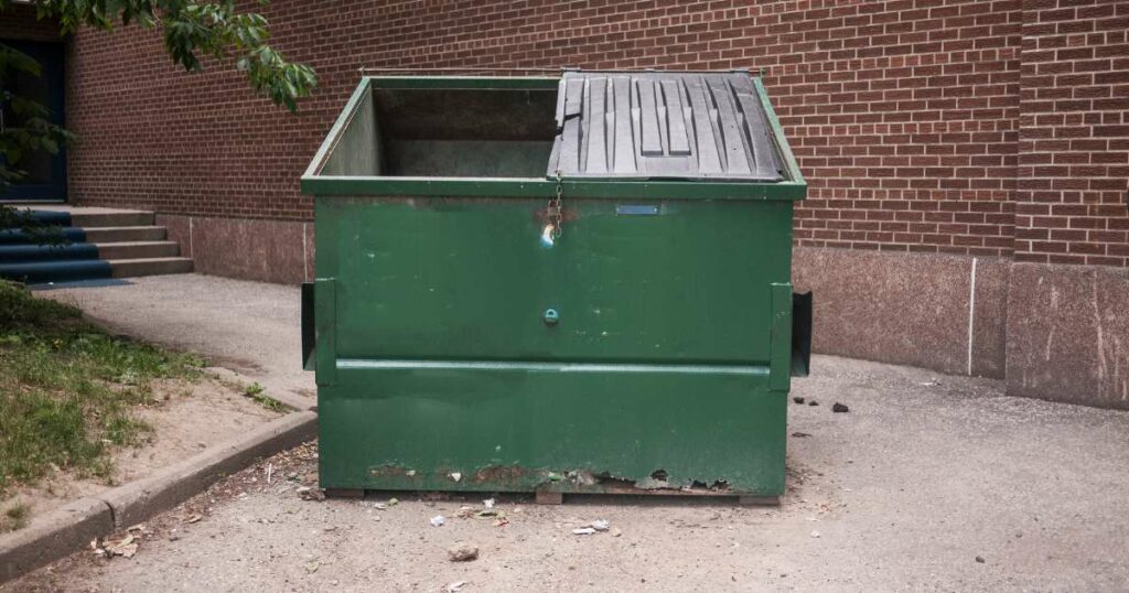 Why Rent a Dumpster for a Single Day?