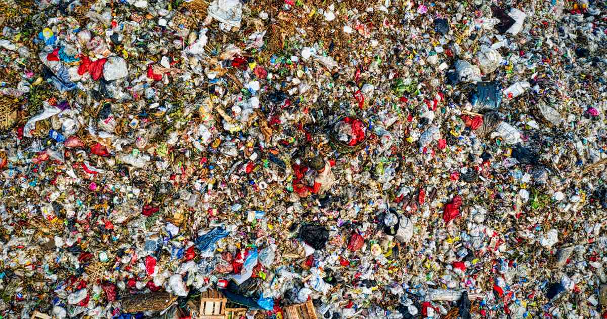 Decomposition of Organic Waste in Landfills Contributes to the Release of Greenhouse Gases