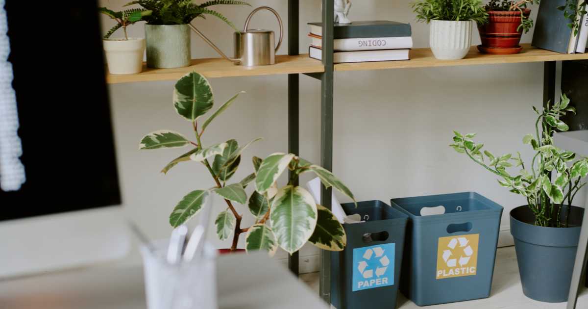 How to Educate Employees About Eco-Friendly Office Waste Management?