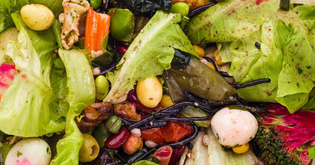 Reducing Food Waste in Households and Restaurants