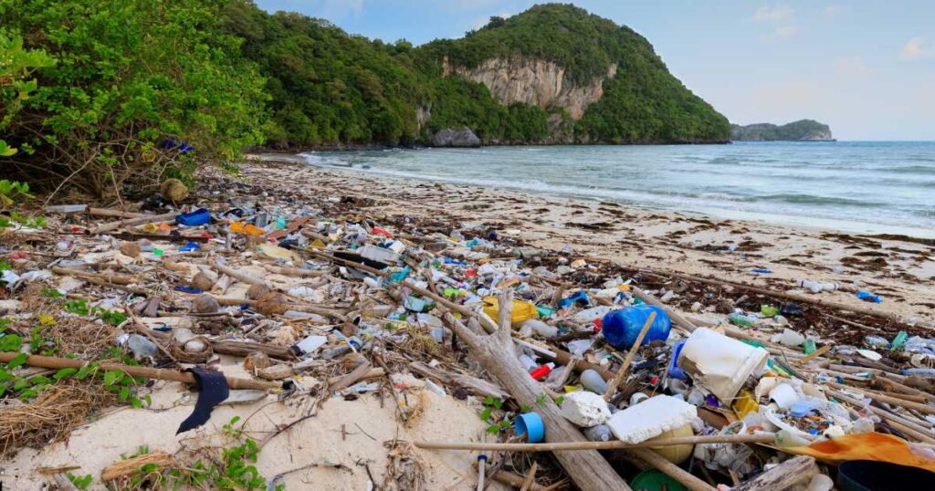 Why Plastic Waste is Harmful to the Planet?